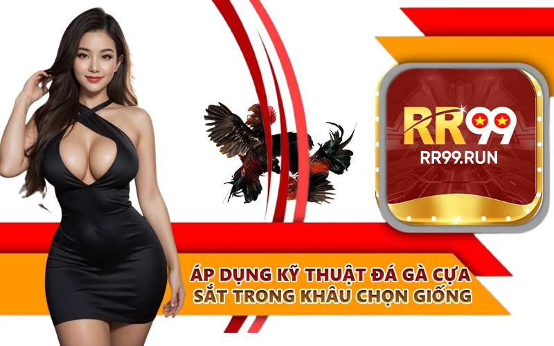 Áp dụng kỹ thuật đá gà cựa sắt trong khâu chọn giống