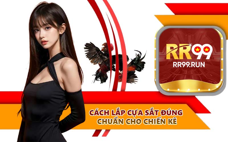 Cách lắp cựa sắt đúng chuẩn cho chiến kê