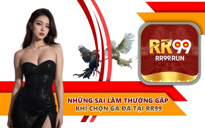 Những sai lầm thường gặp khi chọn gà đá tại RR99